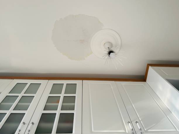 A Water Leak, close up of a stain on the Ceiling